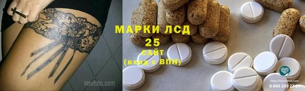 прущие грибы Козловка