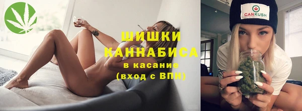 прущие грибы Козловка