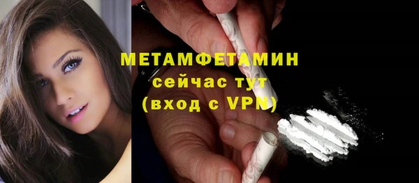 прущие грибы Козловка