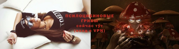 прущие грибы Козловка
