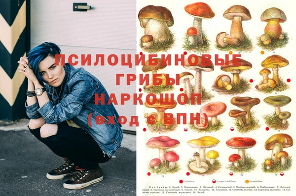 прущие грибы Козловка