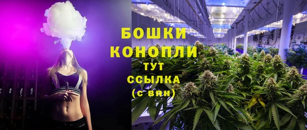 ALPHA PVP Козельск