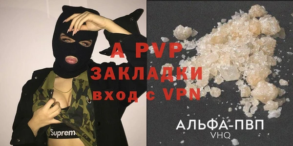 прущие грибы Козловка