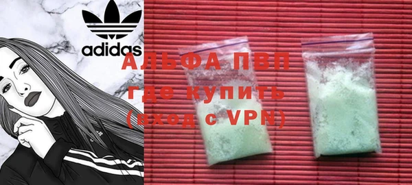 прущие грибы Козловка